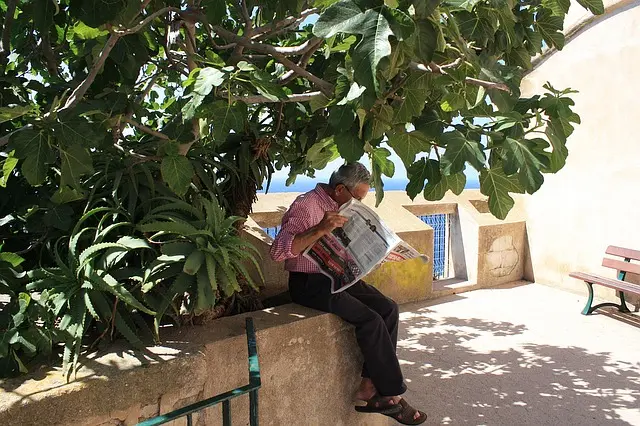 Ein Mann liest im Schatten eines Baumes auf einer Mauer sitzend Zeitung.