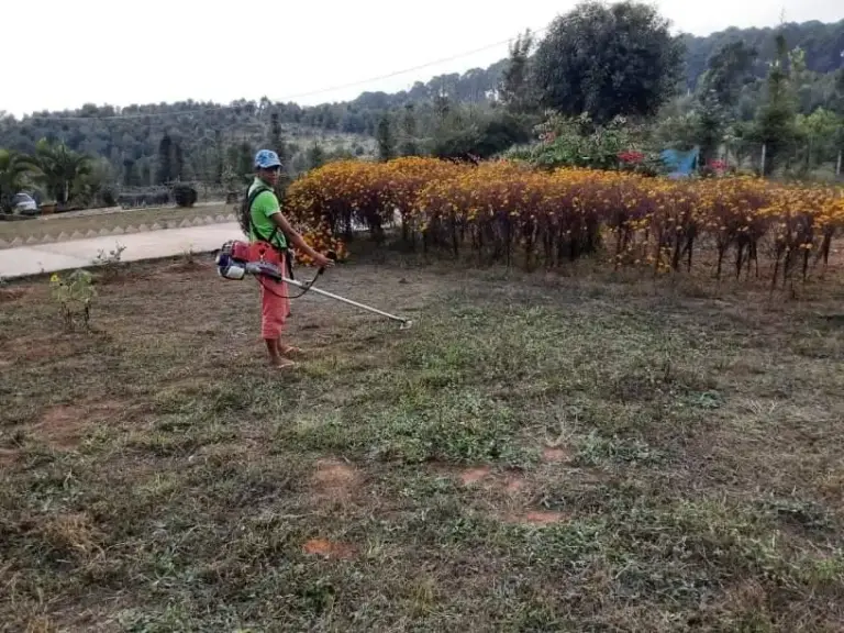 Ein Jugendlicher mäht mit einer Motorsense eine Wiese auf der Farm.