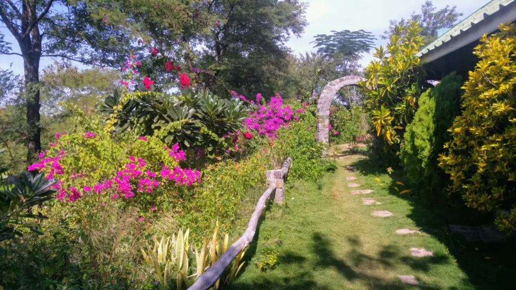 Blühender Garten mit Bougainvillea und einem Weg am Guesthouse.