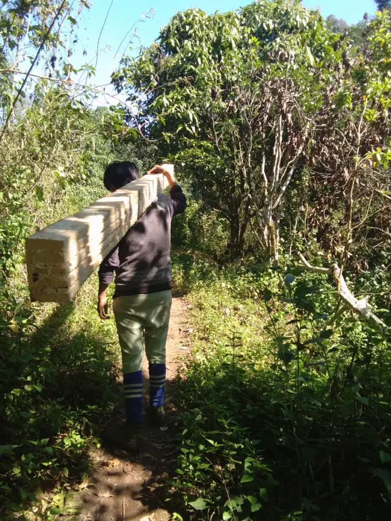 Ein Mann trägt Bretter auf der Schulter einen Waldweg entlang.
